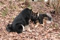 hajak-besuch (16)